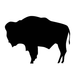 White background with a profile of a black buffalo