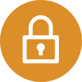 privacy and security icon