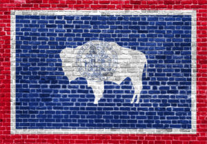 Image of Wyoming flag on bricks