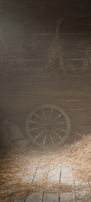 barnwithhay