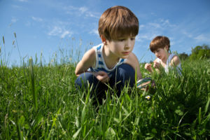 Visit health.wyo.gov