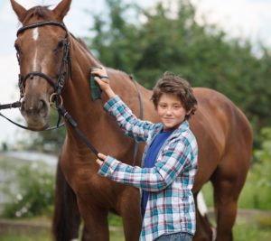 Young boy with a horse