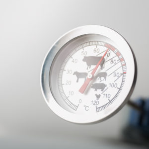 Food thermometer getting a reading