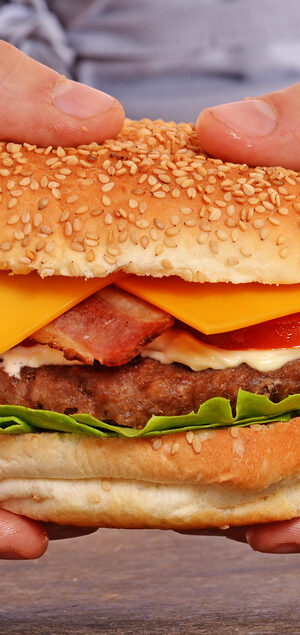 hamburgerwithhands