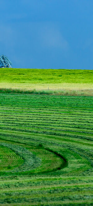 irrigationhayfield