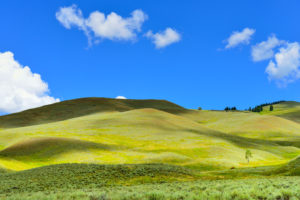 photo of rolling hills