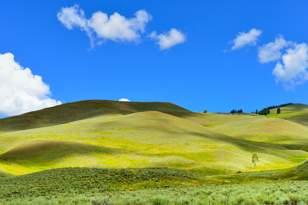 photo of rolling hills