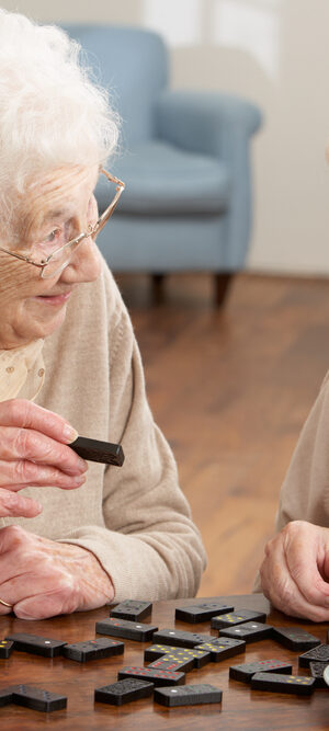 seniorsplayingdominoes