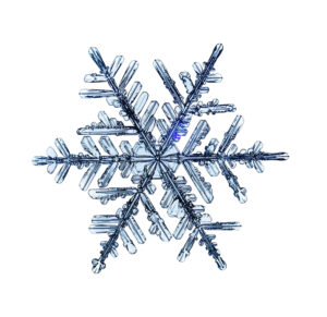 close up of snowflake