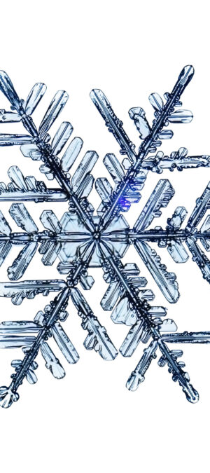snowflake