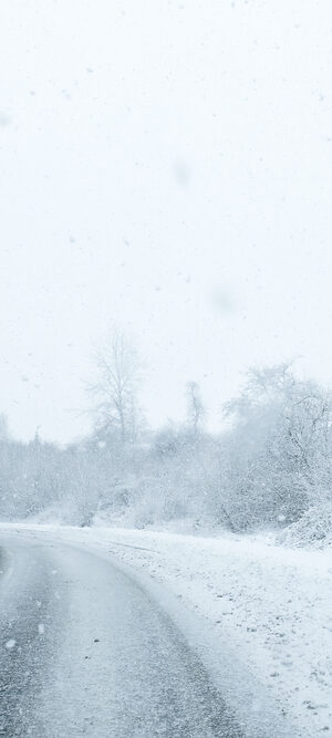 snowyroad