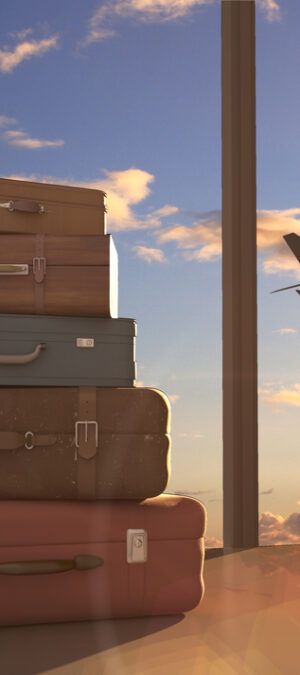 suitcaseswithairplane