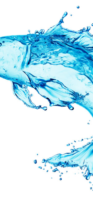 waterfish