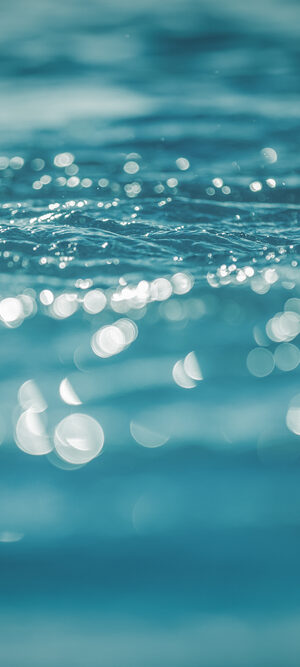 waterpond