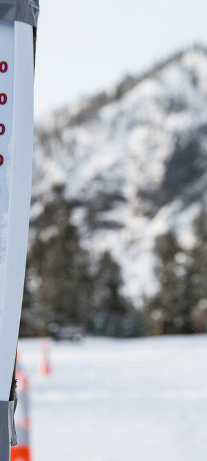winterthermometer