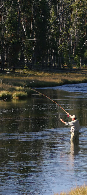 wyomingfishing