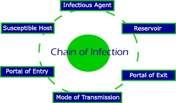 Chain of Infection: Infectious agent, reservoir, portal of exit, mode of transmission, portal of entry, susceptible host