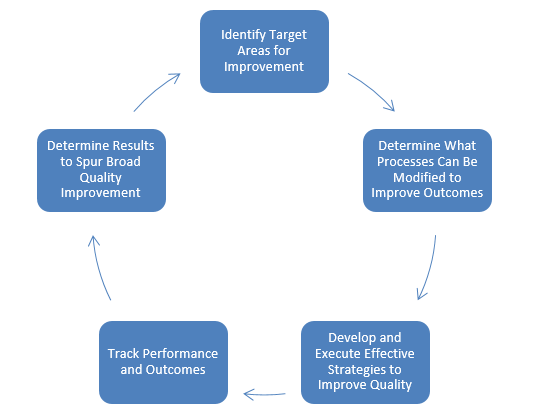 Figure 1. Steps in the Quality Improvement Process.6