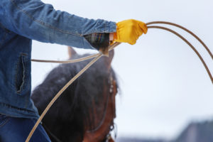 Cowboy holding a rope riding a horse.
