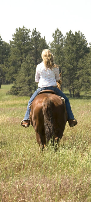 horsebackriders