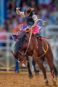 rodeo cowboy on bucking horse