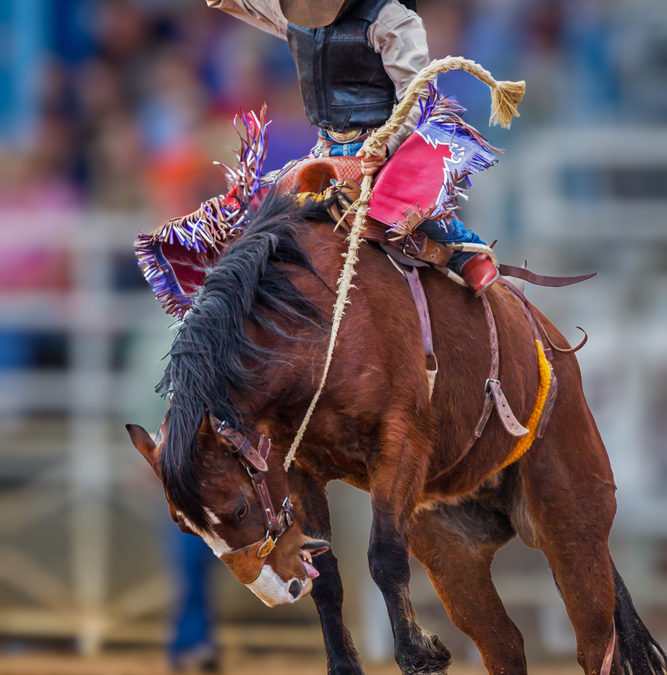 Governor Expresses Disappointment That Wyoming’s Largest Rodeos Are Cancelled