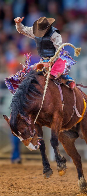 rodeo cowboy