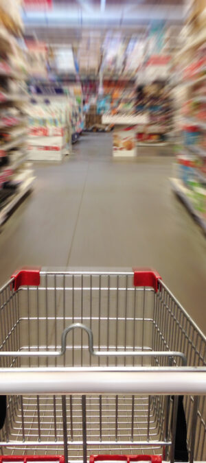 supermarketcart2