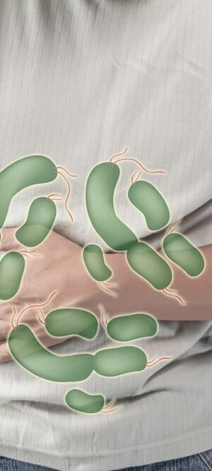 bacteria and man stomach