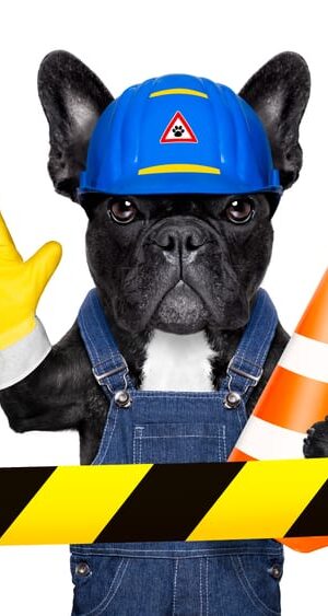 construction warning with dog