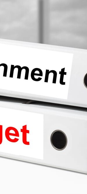 government budget binders