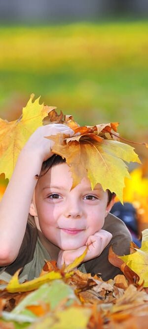 little boy in leaves