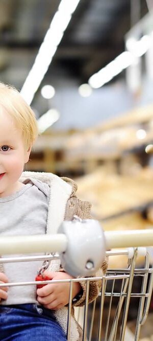 little boy in shopping cart