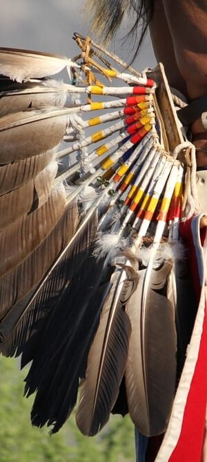 man wearing eagle feathers