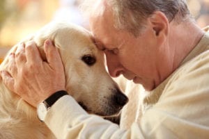 Photo of older man and dog