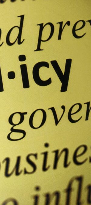 policy from dictionary entry