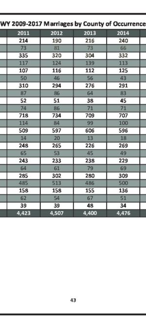 WY20092017MarriageByCounty