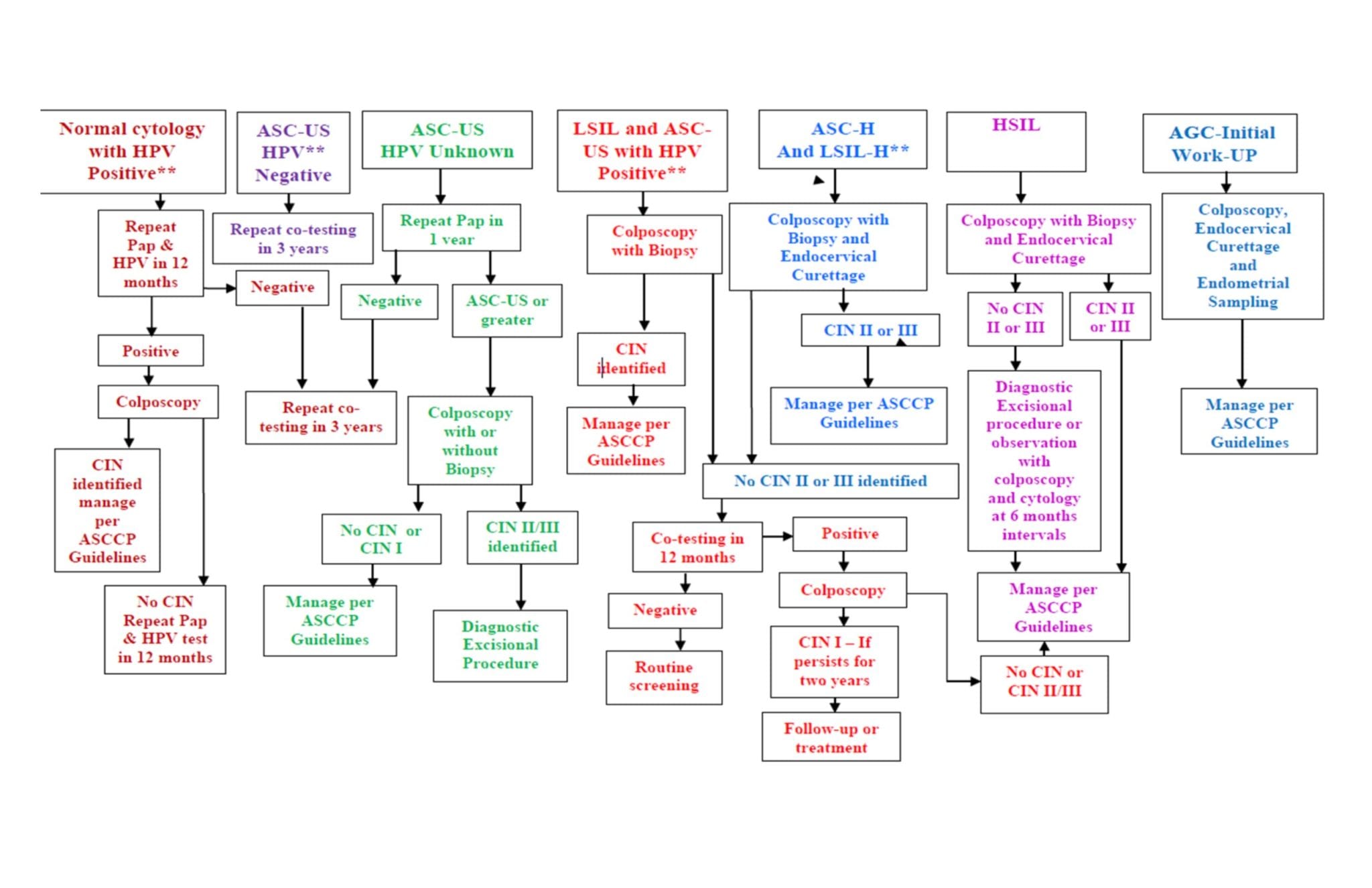 Algorithm for Cervical Screening Pap Abnormalities Wyoming Department