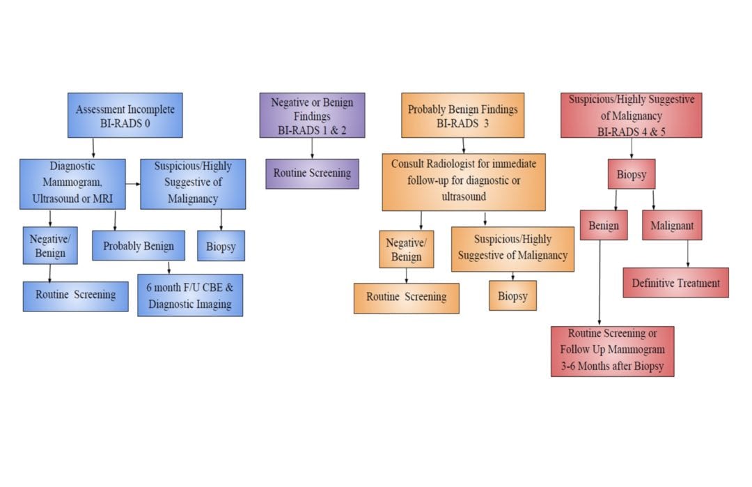 Algorithm for screening mammogram wyoming department of health