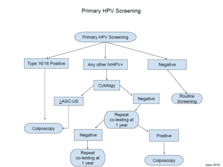 Primary Hpv Screening Wyoming Department Of Health 5184