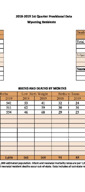 2019 1st Qtr Provisional