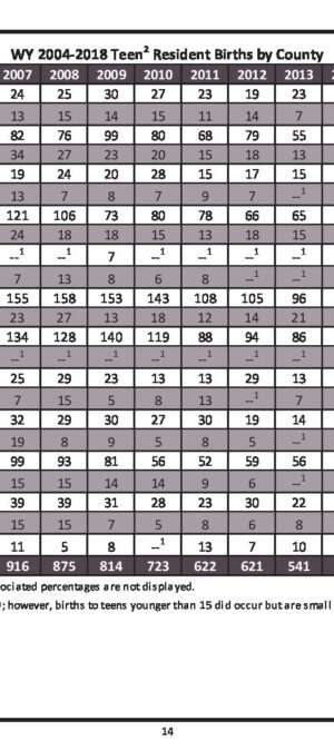 WY20042018TeenResBirths