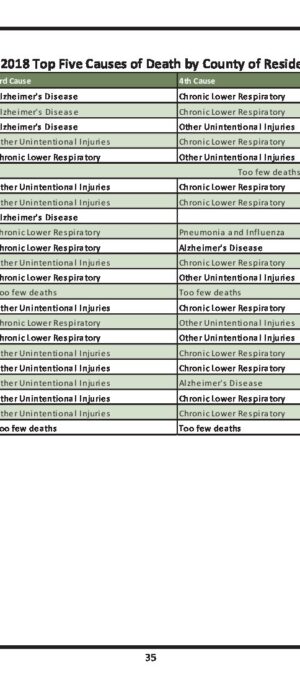 WY2018TopFiveCausesOfDeath