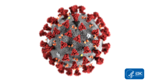 Coronavirus Germ Image