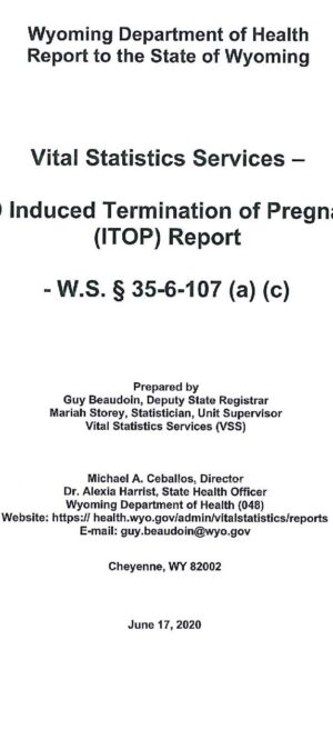 2019 Induced Termination of Pregnancy (ITOP) Report