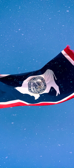 Wyoming flag blowing in snow