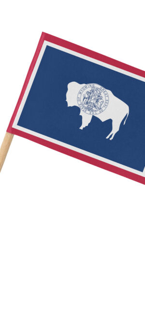 Wyoming flag on toothpick