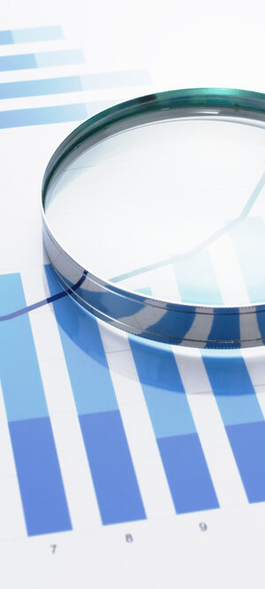 bar graphs with magnifying glass