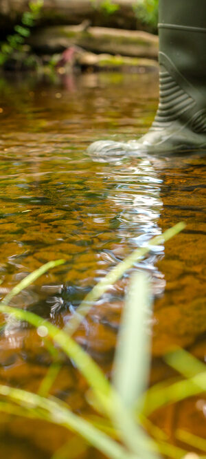 boots standing in creek water