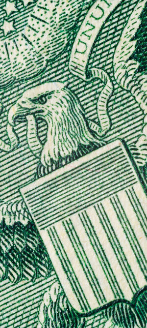 close up of eagle from money